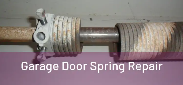  Garage Door Spring Repair 